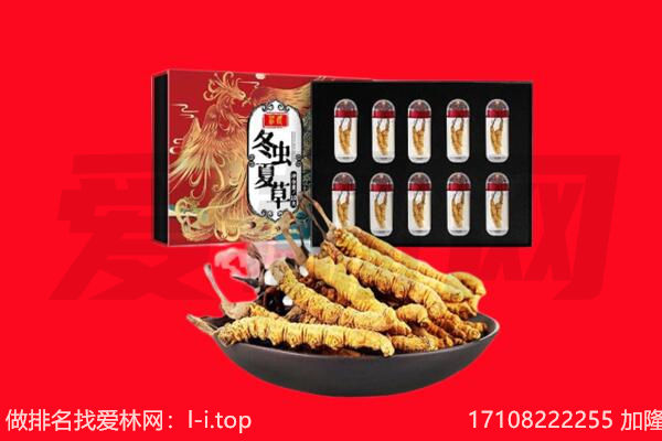 石狮市回收虫草.jpg